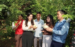 Bước chuyển trong công tác giảm nghèo ở Gia Phù