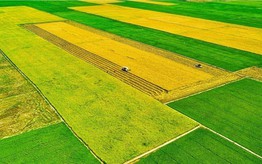 3 Chương trình Mục tiêu Quốc gia tạo chuyển biến toàn diện vùng nông thôn