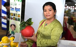 Nhiều đặc sản vùng miền quy tụ tại hội chợ OCOP TPHCM dịp cuối năm