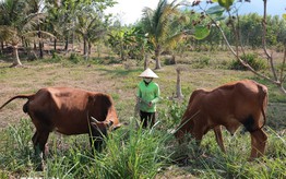 Ban hành quy định về chuẩn nghèo đa chiều quốc gia giai đoạn 2026-2030