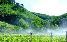 Quy định mới về phân bổ vốn cho các địa phương để phát triển kinh tế nông, lâm nghiệp bền vững