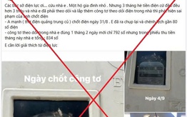 Điện lực miền Bắc cảnh báo thông tin sai sự thật về hóa đơn tiền điện trên mạng xã hội