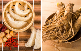 Cách dùng yến sào, nhân sâm, tránh "bổ quá hóa hại"