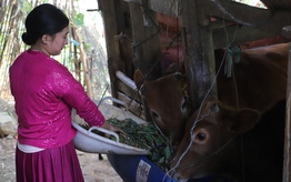 Mái nhà mới, đời sống mới trên cao nguyên đá Sà Phìn