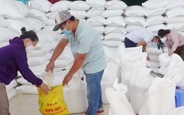 Xuất cấp hơn 14.660 tấn gạo dự trữ hỗ trợ Tết và giáp hạt năm 2026