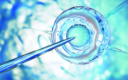 Giải pháp "trẻ hóa" trứng ở phụ nữ