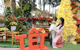 Lịch nghỉ Tết Nguyên đán 2026 của học sinh 34 tỉnh, thành