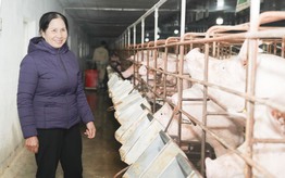 Bà chủ 58 tuổi biến đất mặn thành "đất vàng"