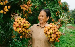 "Hỗ trợ phụ nữ khởi nghiệp" - Bài cuối: Đề án 2415 - Kỳ vọng bứt phá