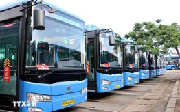 TPHCM miễn vé metro, vé xe buýt cho người dân đi bầu cử