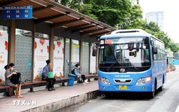 TPHCM chủ trương miễn phí xe buýt cho người dân