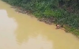 2 học sinh ở Nghệ An lao xuống sông cứu bạn nữ thoát chết