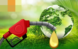 Xăng E10 - Bước chuyển mềm trên hành trình giao thông xanh