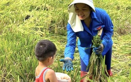 Tìm lại sự cân bằng với việc làm nông nghiệp sạch