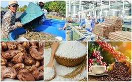 Đà tăng trưởng hiện tại mở ra khả năng xuất nhập khẩu Việt Nam vượt mốc 1.000 tỷ USD trong năm 2026