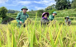 Lào Cai: Nhân rộng mô hình hỗ trợ phụ nữ khó khăn ở biên giới