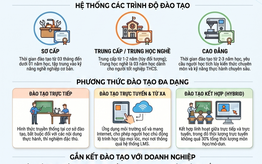 Tăng kết nối với doanh nghiệp để đào tạo nghề gắn với thực tiễn sản xuất