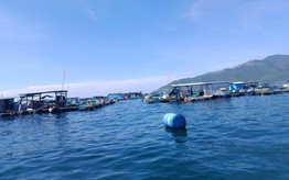 Khánh Hòa: Chủ tịch tỉnh chỉ đạo xử lý các chủ lồng bè, nhà bè nổi tự phát sau phản ánh của Báo Phụ nữ Việt Nam