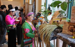 Thúc đẩy nông nghiệp sinh thái: Phụ nữ và thanh niên là chủ thể dẫn dắt sự thay đổi