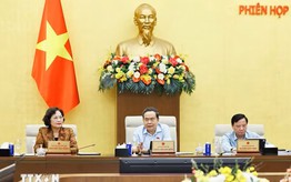 Rà soát chính sách ưu đãi thuế đối với cơ sở giáo dục và suất ăn học đường