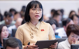 "Giá điện hợp lý không đồng nghĩa với giá thấp bằng mọi cách"