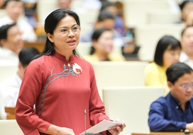 5 góp ý vào dự thảo Luật Phòng chống bạo lực gia đình của Chủ tịch Hội LHPN Việt Nam