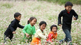 Hồn dân tộc qua ca dao, tục ngữ: Khăng khít tình cảm anh chị em ruột thịt