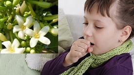Nhớ vị thuốc của mẹ trong ngày mưa bão