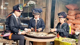 Hỗ trợ cho vay tới 96 tỷ đồng để phát triển vùng trồng dược liệu quý