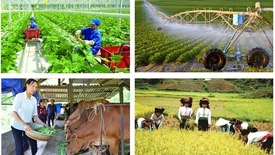 Chính sách mới về hỗ trợ bảo hiểm nông nghiệp