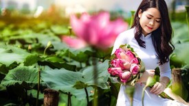 Mùa sen thênh thang nhớ