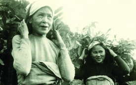 Những hình ảnh tự hào của phụ nữ Việt Nam trong chiến dịch Điện Biên Phủ