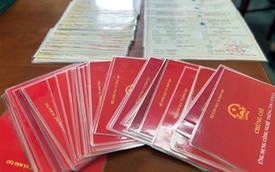 Bắc Giang: 15 giáo viên mua bằng, chứng chỉ giả để thi tuyển