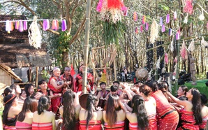 Tiếp nối mạch nguồn, phát huy giá trị văn hóa đồng bào Giẻ Triêng qua Lễ Mừng lúa mới