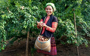 Đề án “Hỗ trợ phụ nữ khởi nghiệp”: Tăng cường bình đẳng giới trong phát triển kinh tế