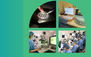 Người “ươm mầm sự sống” phía sau cánh cửa phòng Lab IVF