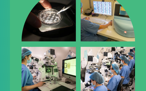 Người "ươm mầm sự sống" phía sau cánh cửa phòng Lab IVF