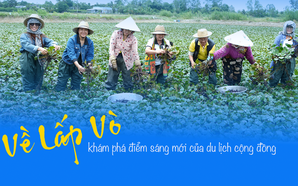 Về Lấp Vò khám phá điểm sáng mới của du lịch cộng đồng
