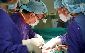 Hiến mô, tạng: Từ nguyện vọng nhân văn đến cơ hội hồi sinh sự sống