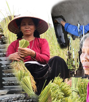 An sinh xã hội cho lao động phi chính thức - Bài cuối: Đưa lao động phi chính thức đến gần "lưới an sinh xã hội"