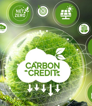 Sử dụng thị trường carbon là xu thế tất yếu để Việt Nam chuyển dịch sang kinh tế xanh