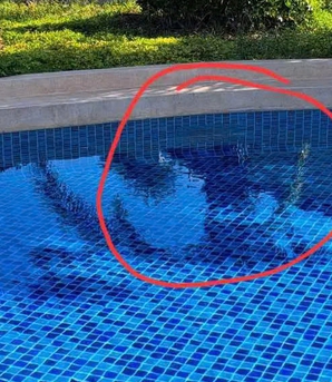 Tổng Lãnh sự quán Nhật Bản tại TPHCM gửi công hàm về vụ bé trai người Nhật đuối nước ở Phan Thiết