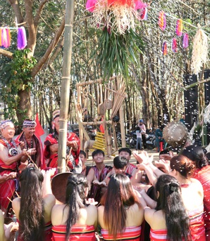 Tiếp nối mạch nguồn, phát huy giá trị văn hóa đồng bào Giẻ Triêng qua Lễ Mừng lúa mới