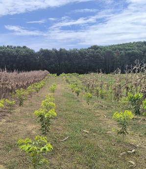 Giảm 70% tiền chênh lệch khi chuyển đổi đất: Kỳ vọng tháo gỡ gánh nặng cho người dân