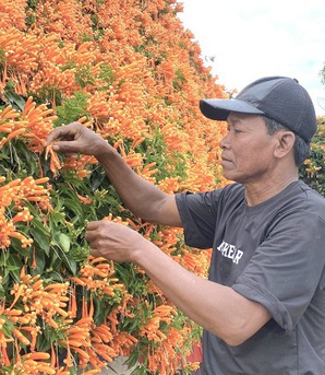Người đàn ông 42 năm gìn giữ "ngôi nhà hoa xác pháo"