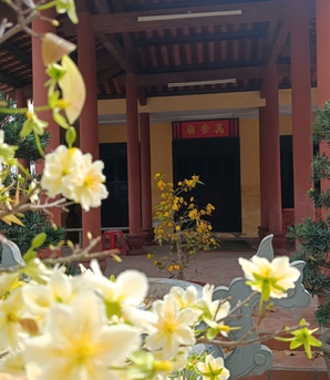 2 di tích quốc gia ở Khánh Hòa "khoác áo xuân" sau phản ánh của Báo Phụ nữ Việt Nam