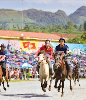 Vó ngựa trên mây Bắc Hà