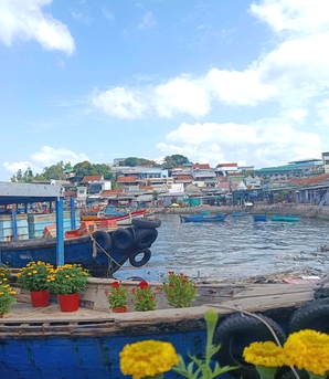 Chở mùa xuân từ đất liền ra đảo