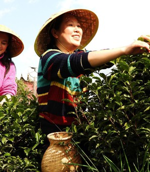 1+1+1: Mô hình sinh kế gia đình thúc đẩy bình đẳng giới