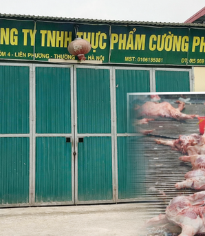 Vụ 300 tấn lợn bệnh vào trường học, chợ đầu mối: Phụ huynh thấp thỏm, trường học đồng loạt kiểm tra